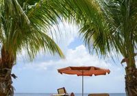 Отзывы Oasis Coral Estate Beach, Dive & Wellness Resort, 4 звезды