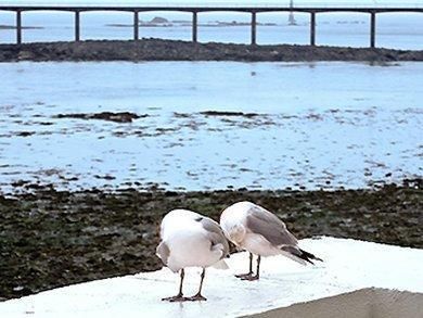 صورة الفندق 16