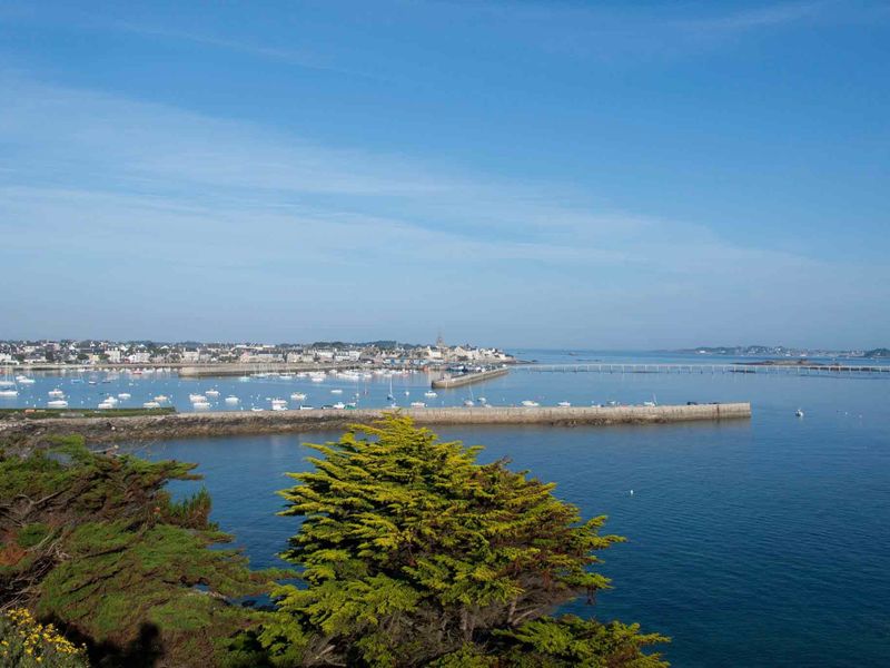 صورة الفندق 18