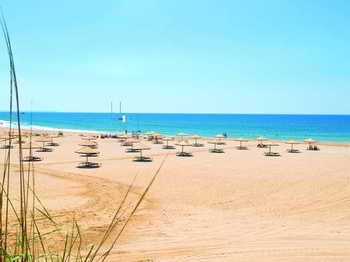 صورة الفندق 13