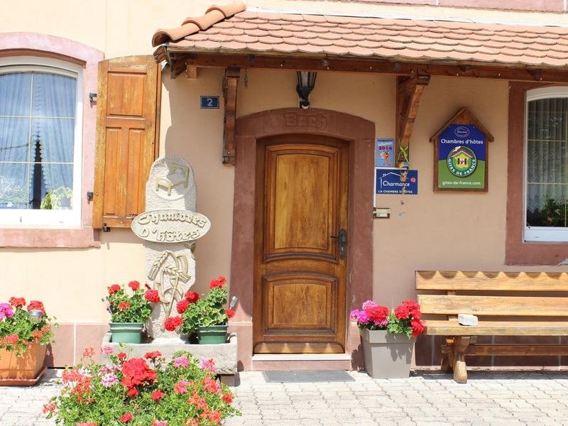 صورة الفندق 7