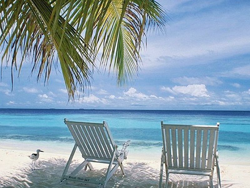 صورة الفندق 22