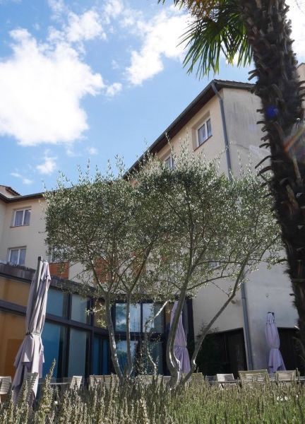Hotel Photo 23