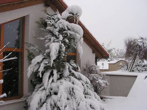 صورة الفندق 19