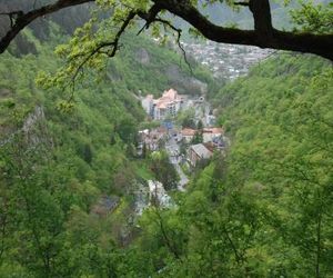 Borjomi Central Park Apartment Borjomi Georgia