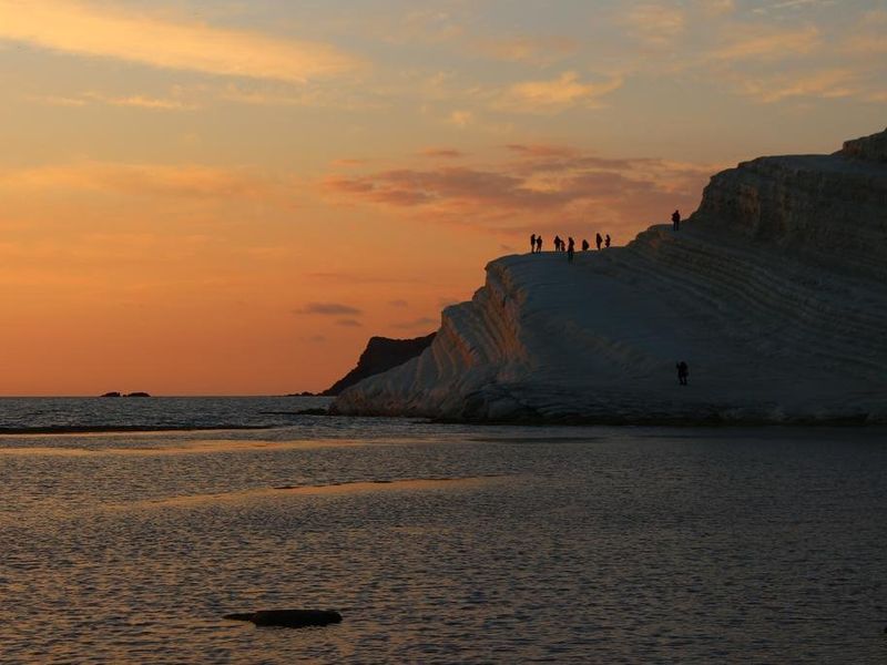 صورة الفندق 21