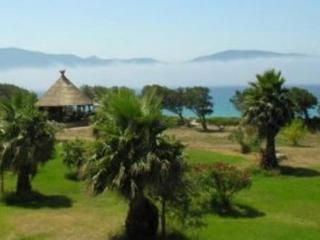صورة الفندق 16