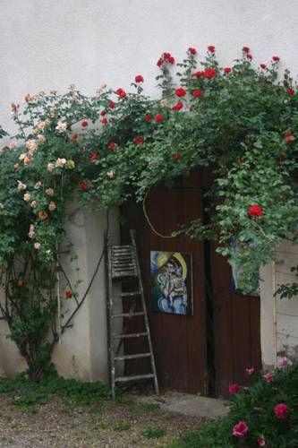صورة الفندق 20
