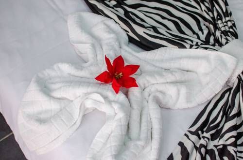 صورة الفندق 20