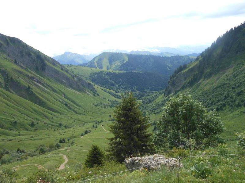 صورة الفندق 20