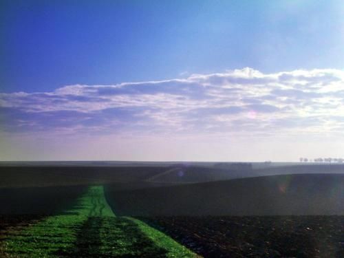 صورة الفندق 21