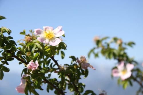 صورة الفندق 19