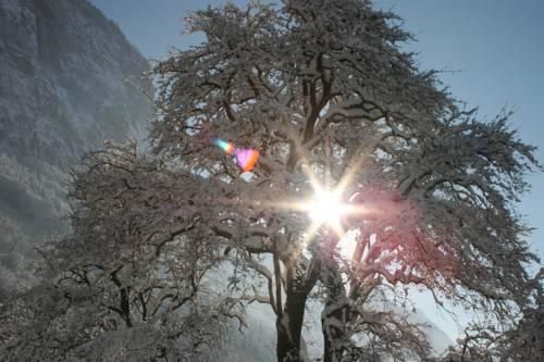 صورة الفندق 20