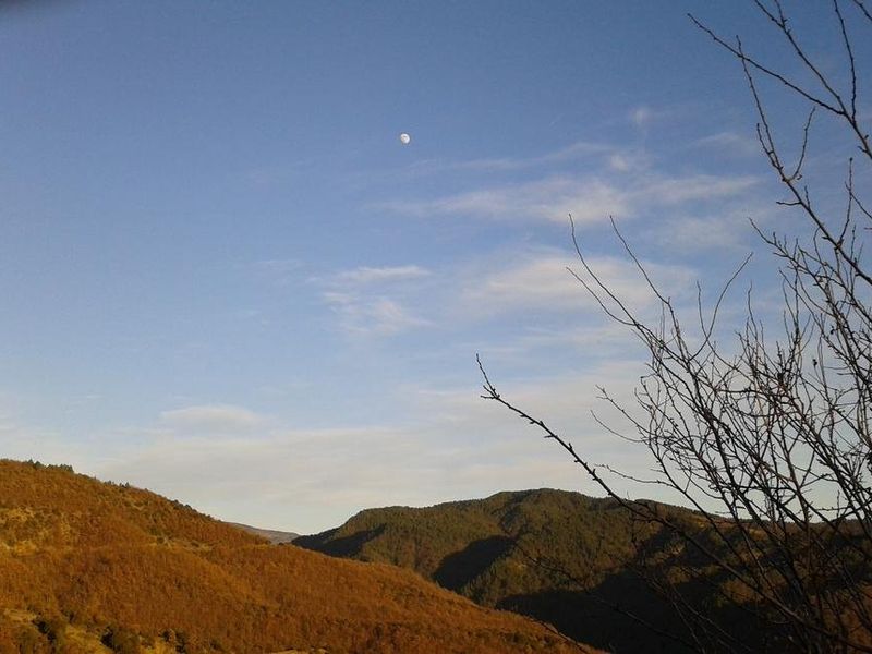 صورة الفندق 12