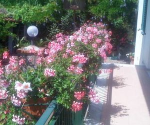 Holiday home La Camelia Sorrento SantAgnello Italy