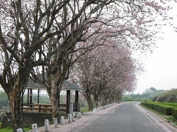 صورة الفندق 21