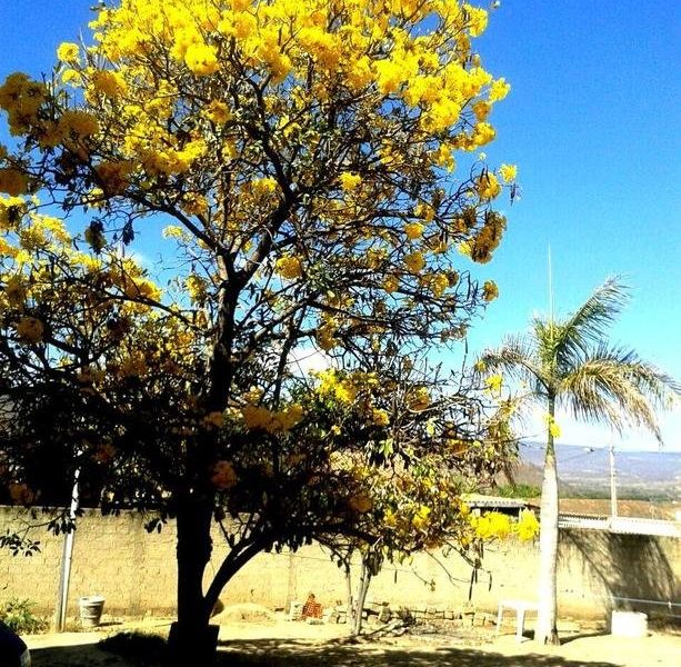 صورة الفندق 24