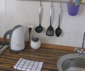 Apartments at Tukhachevskogo Stavropol Russia