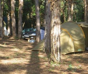 Sosnovy Ray Camping Arkhipo-Osipovka Russia