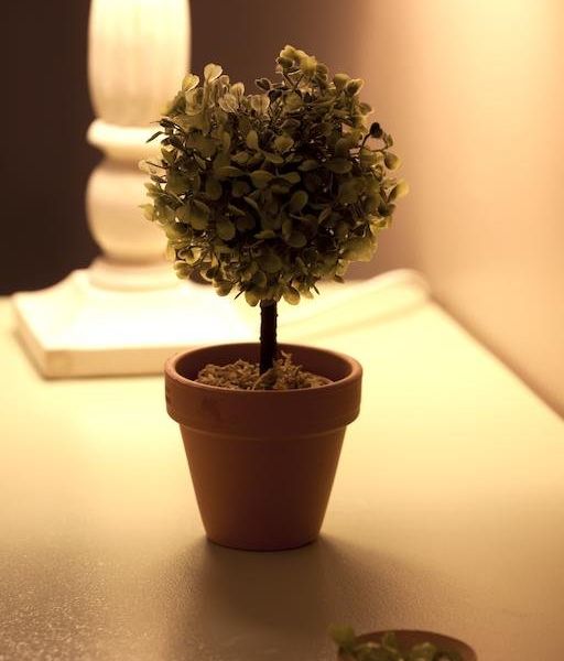 صورة الفندق 10