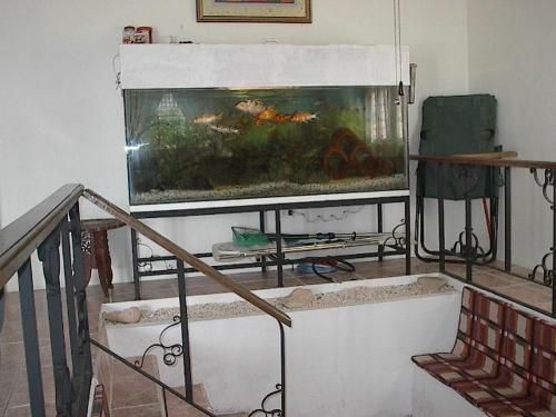 صورة الفندق 15
