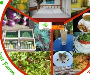 Mount Edge Guest House Kingston Jamaica