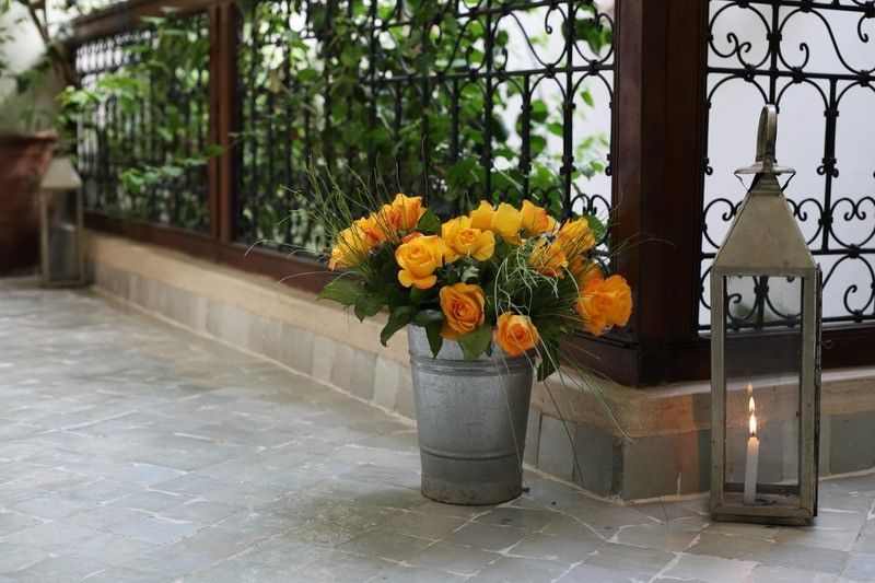 صورة الفندق 16