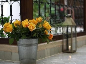 صورة الفندق 22
