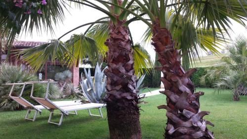 صورة الفندق 19