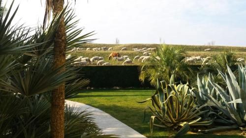 صورة الفندق 22