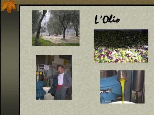 صورة الفندق 20
