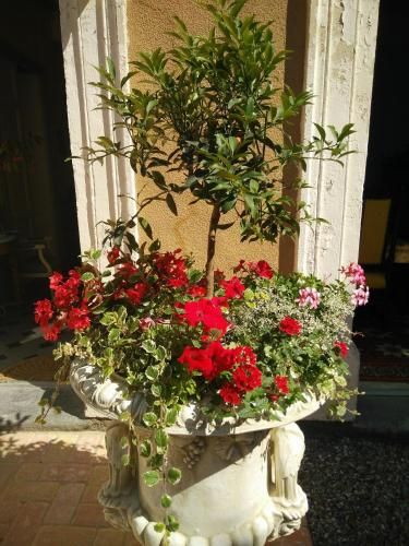 صورة الفندق 15