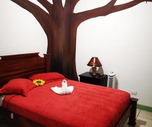Hostel Shakti San Jose Costa Rica
