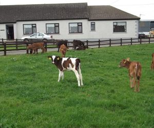 Ave Maria Farmhouse Aughris Ireland