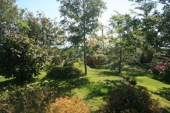 صورة الفندق 12