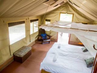 Фото отеля Tshima Bush Camp