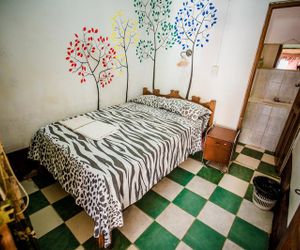 El Curichal Hostel Rurrenabaque Bolivia