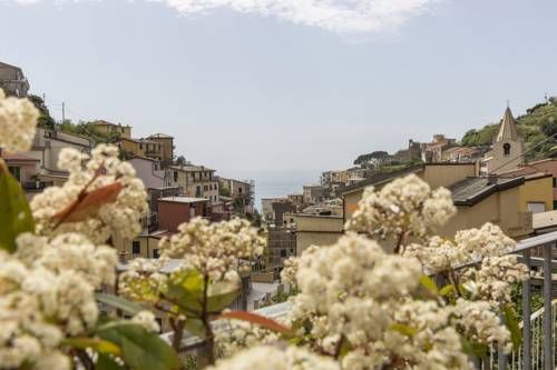 صورة الفندق 24
