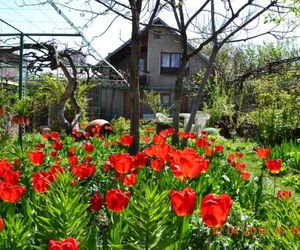 Miloravas Guest House & Wine Cellar Telavi Georgia