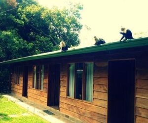 QUETZAL INN Santa Elena Costa Rica
