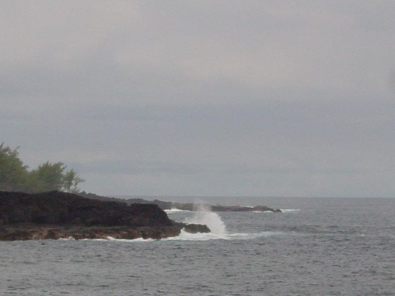 صورة الفندق 15