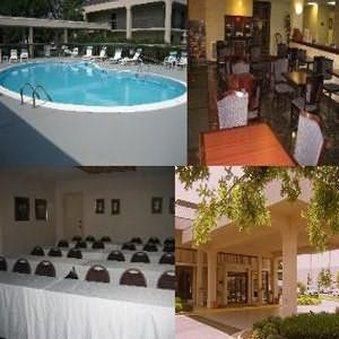 صورة الفندق 8