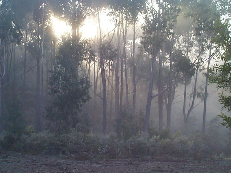 صورة الفندق 7
