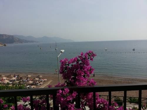 صورة الفندق 14