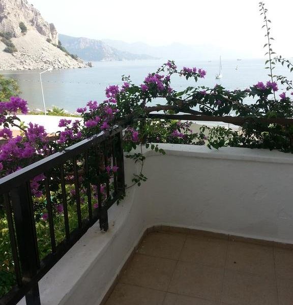 صورة الفندق 19