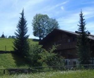 Apartment Halten Zweisimmen Switzerland
