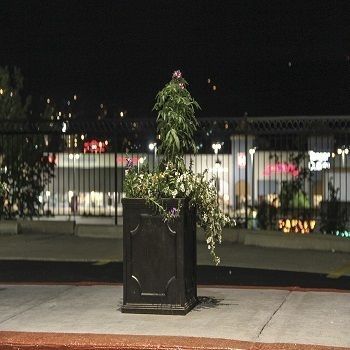 صورة الفندق 1