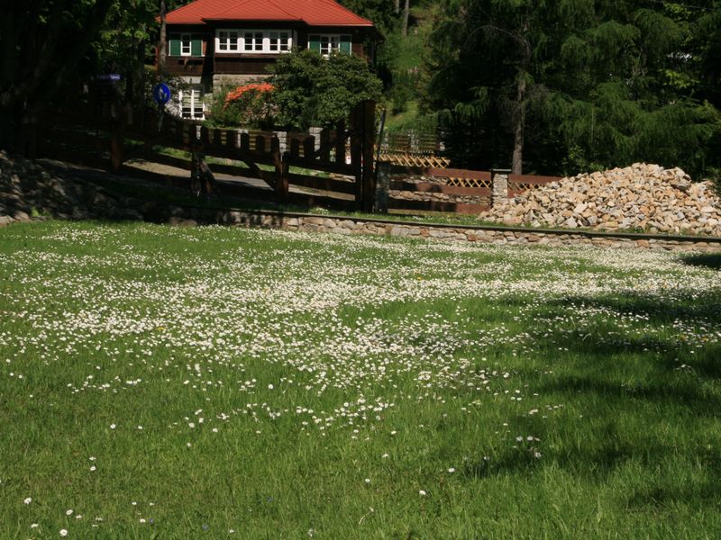 صورة الفندق 17