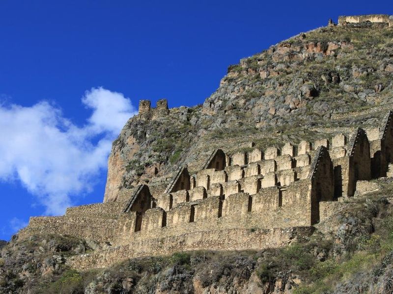صورة الفندق 24