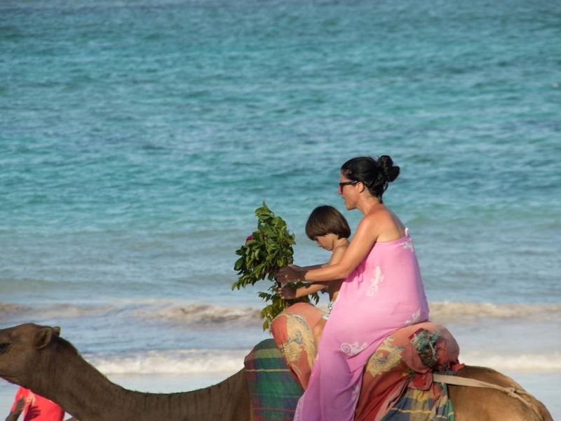 صورة الفندق 9